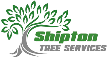 Shipton Tree Services